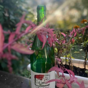 Carignano - Ampeleia - Marco Tait 