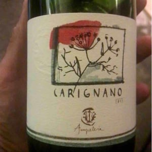 Carignano - Ampeleia - Marco Tait 