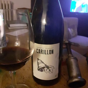 Carillon - Domaine des Amiel - Aymeric & Jordan Amiel 