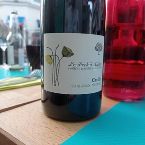 Cariño - Domaine Le Pech D'André - mireille-remaury-philippe-lelong