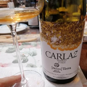 Carlaz - Primaterra - walter-de-batte-1j