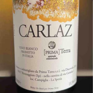 Carlaz - Primaterra - walter-de-batte-1j