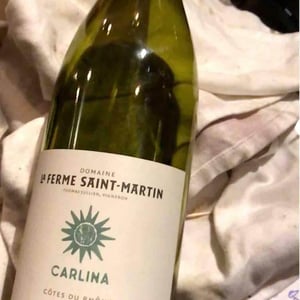 La Ferme Saint-Martin - Les Vins de Thomas - Sophie & Thomas Jullien - Carlina