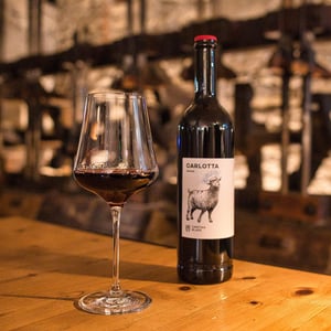 Carlotta - Cantina Blass - familie-blass -2020