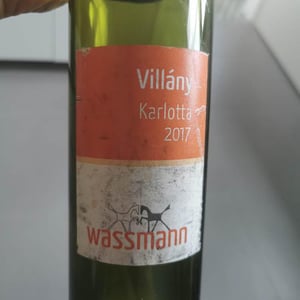 Karlotta - Weingut Wassmann - Susann Hanauer & Ralf Wassmann 