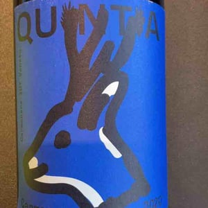 Carmenere - Azienda vitivinivola Quintia - azienda-vitivinivola-quintia -2018