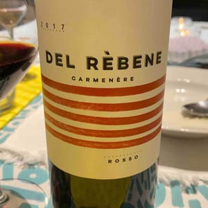 Carmenere - Cantina Del Rèbene - francesco-castegnaro
