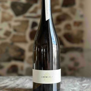 Carmeret - Domaine Lajibe - jean-baptiste-semmartin -2019