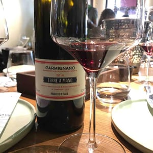Fattoria di Bacchereto Terre a Mano - Maria Rossella Bencini Tesi - Carmignano