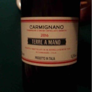 Fattoria di Bacchereto Terre a Mano - Maria Rossella Bencini Tesi - Carmignano