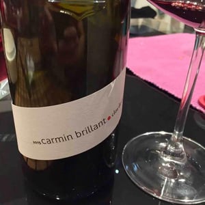 Carmin Brillant - Le Clos de Caveau - henri-bungener