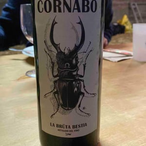 Cornabò - La Brüta Bestia - eleonora-zanetti-emiliano-biolzi -2019