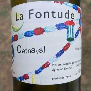 Carnaval - La Fontude - François Aubry & Sophie Valin 