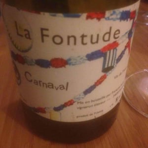 Carnaval - La Fontude - francois-aubry-sophie-valin