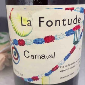 Carnaval - La Fontude - François Aubry & Sophie Valin 