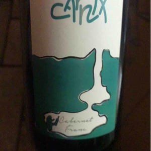 Carnix - Domaine La Taupe - Nicole Messer & Bertjan Mol 