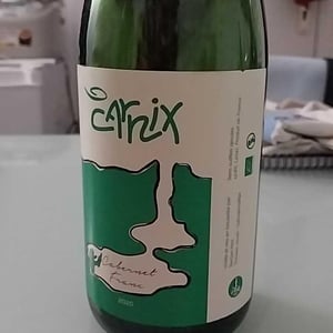 Carnix - Domaine La Taupe - Nicole Messer & Bertjan Mol 