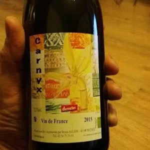 Carnyx - Domaine de Pontcher - Bruno Allion & Jean-Philippe Louis (RETIRED) 