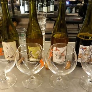 Caroline - Domaine des Griottes - Patrick Desplats 