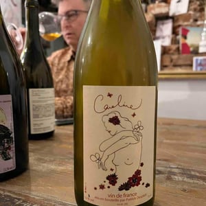 Caroline - Domaine des Griottes - Patrick Desplats 