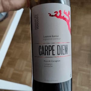 Carpe Diem - Domaine du Verdouble - laurent-battist-closed
