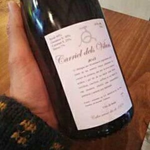 Carriel Dels Villars - El Carriel dels Vilars - carles-alonso