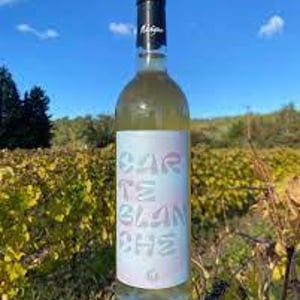 Carte blanche - Domaine de Malaïgue - francois-reboul -2023
