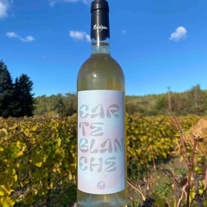 Carte blanche - Domaine de Malaïgue - Francois Reboul -2023