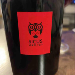 Cartoixa - Sicus - eduard-pie -2019