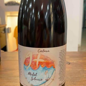 Medol Seleccio Cartoixa - Celler 9+ - moises-virgili-i-rovira