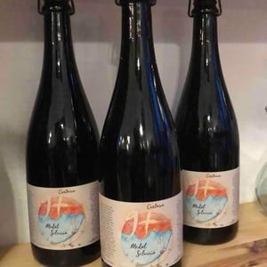 Medol Seleccio Cartoixa - Celler 9+ - Moises Virgili i Rovira 
