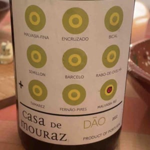 Casa de Mouraz Dão - Casa de Mouraz - antonio-lopes-ribeiro-sara-dionisio