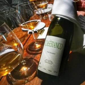 Società Agricola Casè - Alberto Anguissola & Diego Ragazzi - Casèbianco