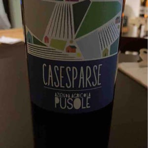 CaseSparse - PUSOLE - roberto-e-lorenzo-pusole -2024