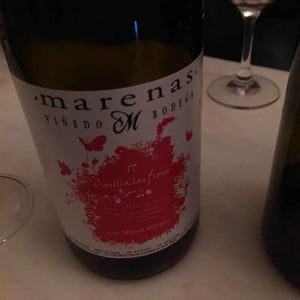 Casilla las Flores - Marenas Viñedo y Bodega - jose-miguel-marquez-herrador