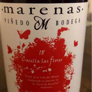 Casilla las Flores