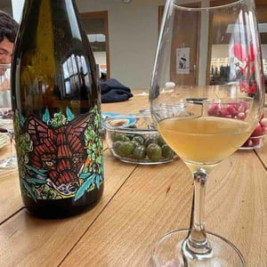 Casimir - Domaine Muller-Koeberle - David Koeberle -2023