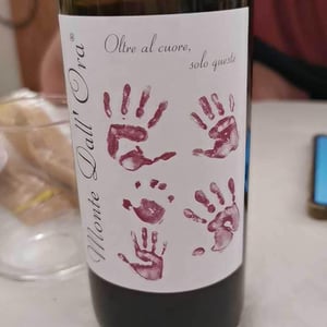 Saseti - Monte dall'Ora - alessandra-zantedeschi-carlo-venturini