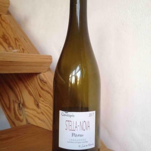 Cassiopee - Stella Nova - Philippe Richy 