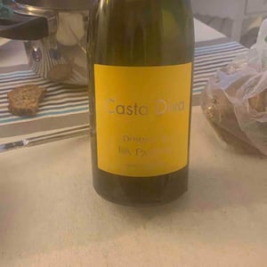 Casta Diva - Domaine De La Paleine - jean-louis-bernet-ex-laurence-et-marc-vincent