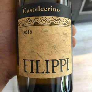 Visco & Filippi Azienda Agricola - Filippo Filippi - Castelcerino