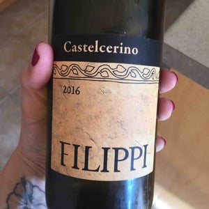 Visco & Filippi Azienda Agricola - Filippo Filippi - Castelcerino