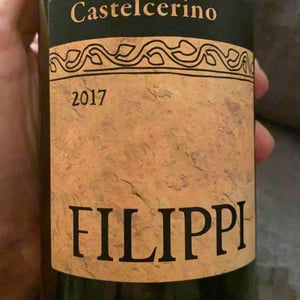 Visco & Filippi Azienda Agricola - Filippo Filippi - Castelcerino