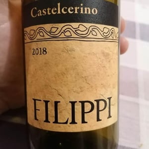 Visco & Filippi Azienda Agricola - Filippo Filippi - Castelcerino