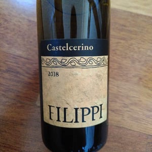 Visco & Filippi Azienda Agricola - Filippo Filippi - Castelcerino