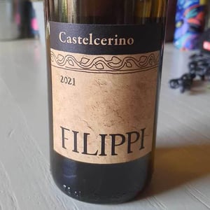 Castelcerino - Visco & Filippi Azienda Agricola - filippo-filippi