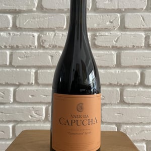 "Castelhana" Syrah - Vale da Capucha - pedro-marques -2014