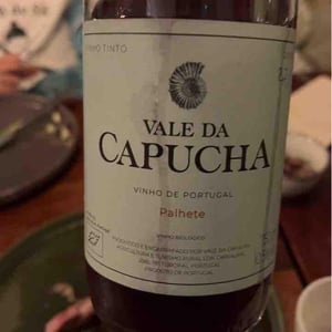 Castelinho - Vale da Capucha - Pedro Marques 