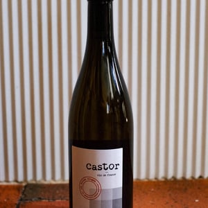 Castor - Les Bottes Rouges - florien-klein-snuverink-jean-baptiste-menigoz