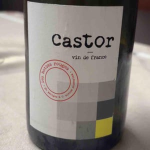 Castor - Les Bottes Rouges - florien-klein-snuverink-jean-baptiste-menigoz